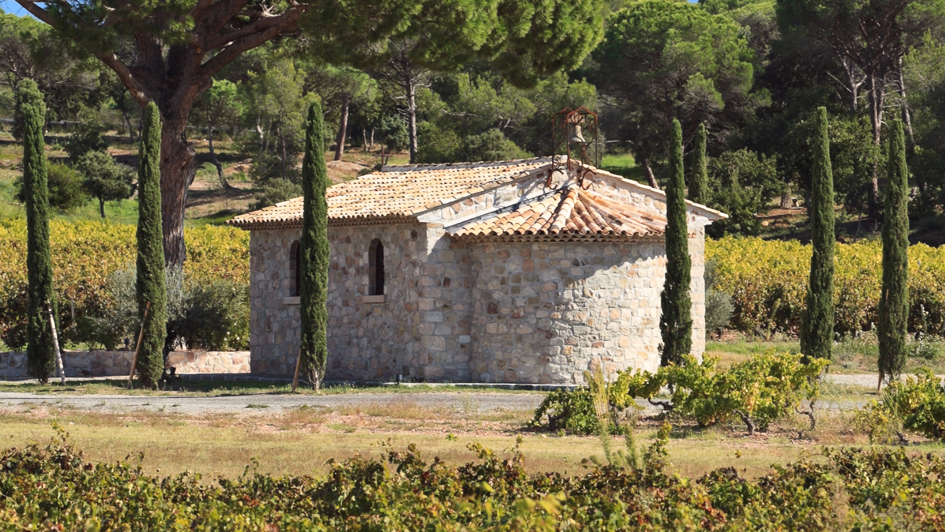 Visite guidée de la cave et dégustation des vins... Du 1 janv au 31 déc 2024