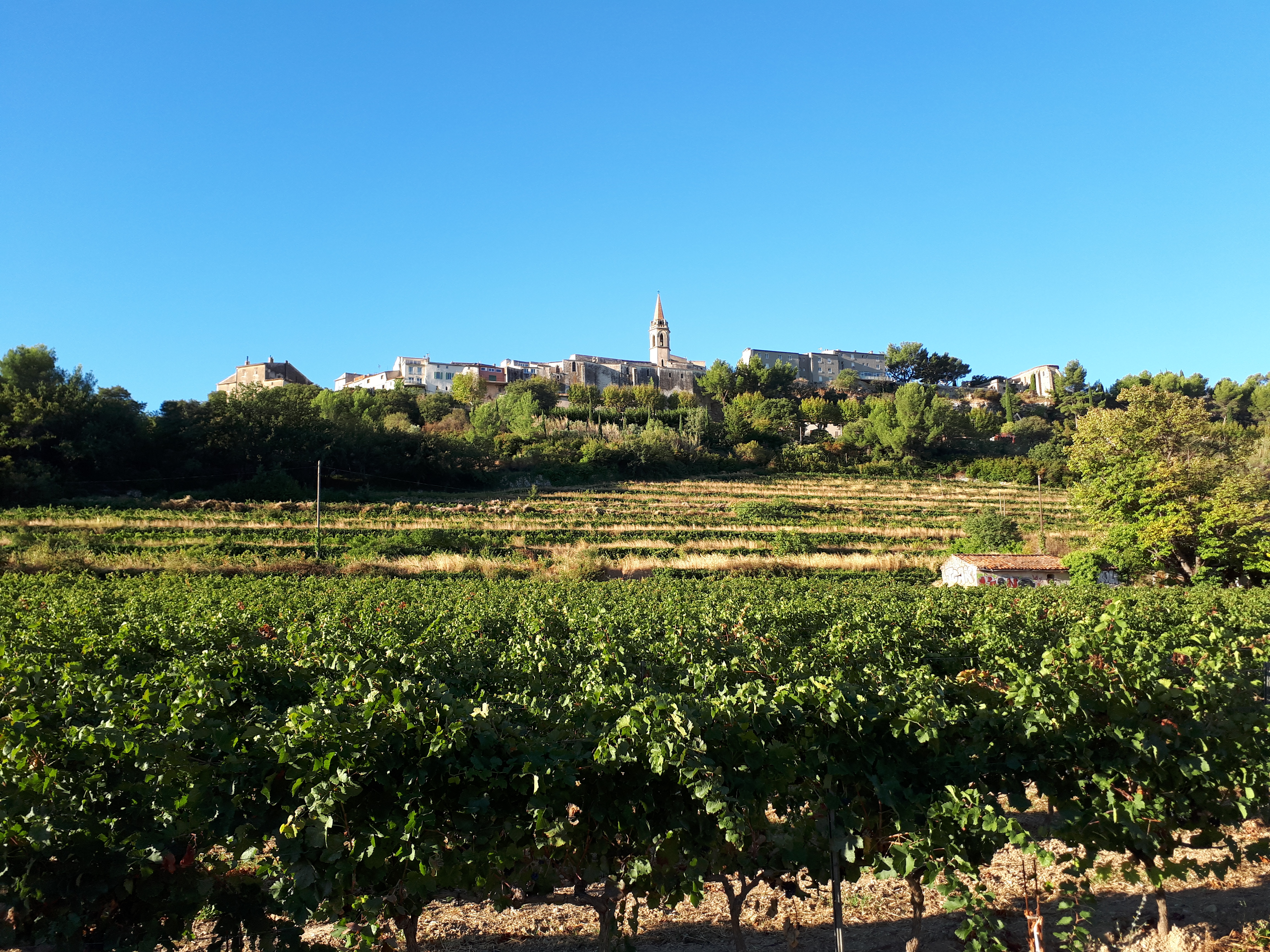 Le Castrum