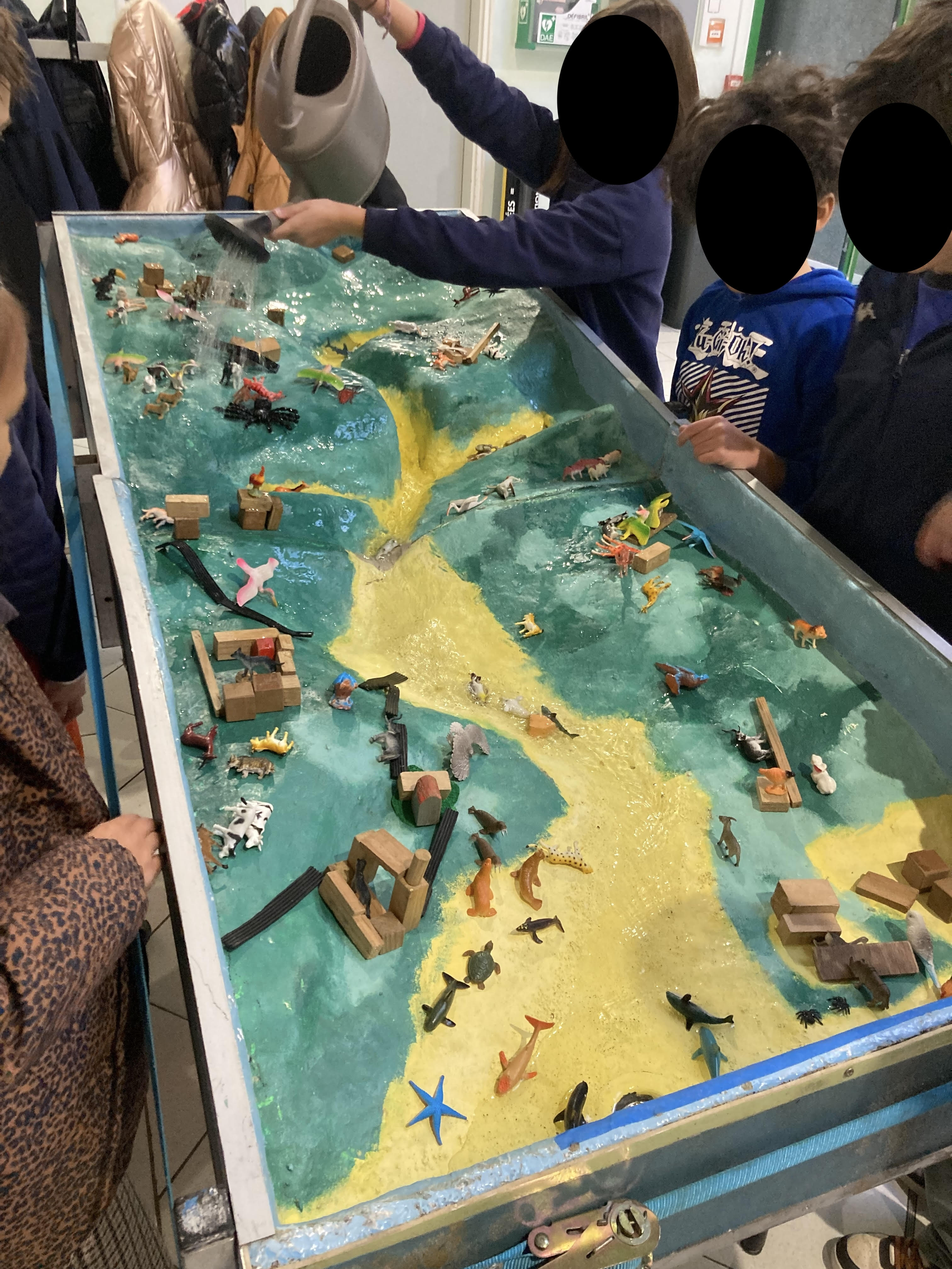 Atelier - Le cycle naturel de l’eau